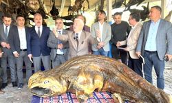 Eğitim Camiası Denizlerin Gizemli Dünyasında Buluştu