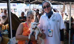 Büyükçekmece'de Sahiplendirme Festivali: 27 Can Dost Yeni Yuvasına Kavuştu