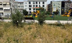Dadyan Parkı'nda Belirsizlik Sürüyor: Karar Var, Çalışma Yok