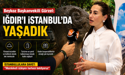 Beykoz Başkanvekili Gürzel: "Iğdır'ın Kültürünü İstanbul'da Yaşadık"