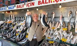 Palamutta 25 yıl sonra bolluk: Fiyatlar 80 liraya kadar geriledi