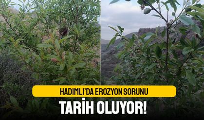 Hadımlı’da erozyon sorunu tarih oluyor