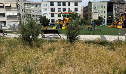 Dadyan Parkı'nda Belirsizlik Sürüyor: Karar Var, Çalışma Yok