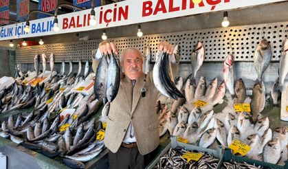 Palamutta 25 yıl sonra bolluk: Fiyatlar 80 liraya kadar geriledi