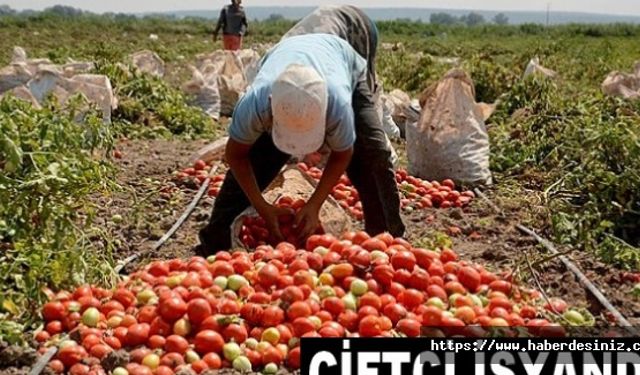 Çiftçi isyan ediyor: Kendimi mi satayım?