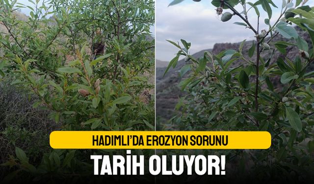 Hadımlı’da erozyon sorunu tarih oluyor