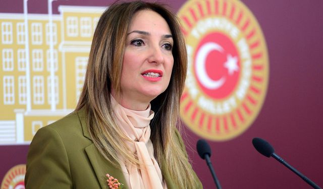 Nazlı Aka "Komşu Anne projesi cemaat evlerine dönüşmeyecek mi?"