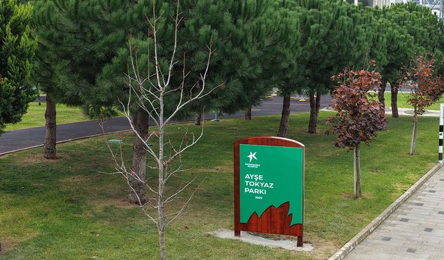 Küçükçekmece Ayşe Tokyaz'ı Unutmadı