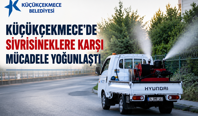 Küçükçekmece’de Sivrisineklere Karşı İlaçlama Seferberliği