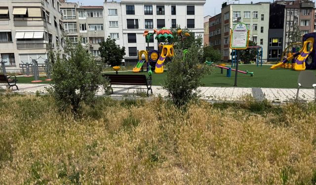 Dadyan Parkı'nda Belirsizlik Sürüyor: Karar Var, Çalışma Yok