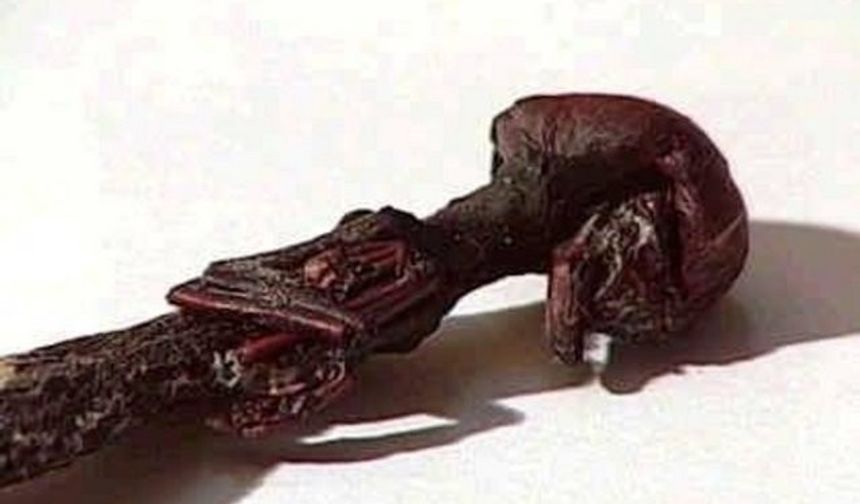 Minik İnsansı fosil 7.2 santim büyüklüğündeki bu minik mi minik yaratık, 1 Ekim 2002&#039;de Şili&#039;de bulundu.