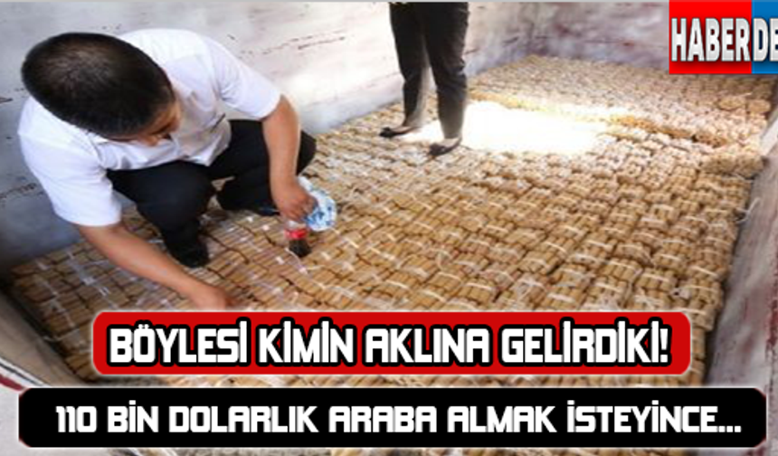 Galerinin devamı için tıklayınız.