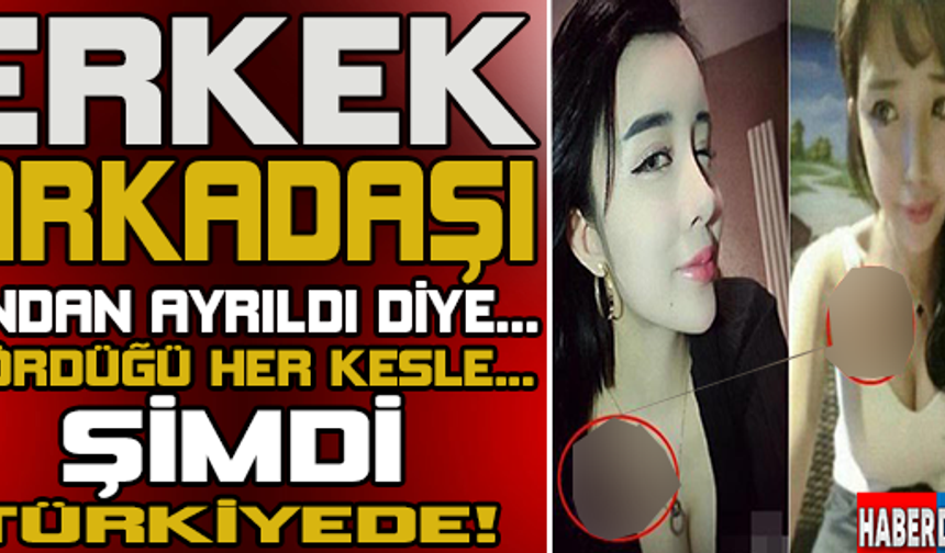 GALERİNİN DEVAMI İÇİN TIKLAYINIZ...