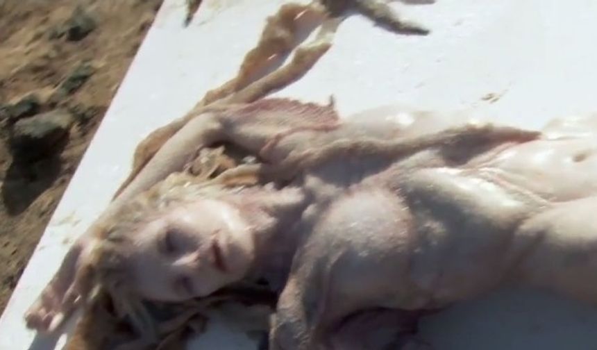 Şimdi dünya basınında oldukça yankı uyandıran bu fotoğrafların gerçekliği tartışıla dursun deni kızı efsanesi uzun yıllar daha konuşulacağa benziyor.
