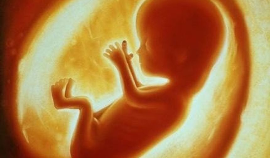 Karnında bir tümör olduğundan şüphelenilen küçük çocuğun içinden bakın ne çıktı...