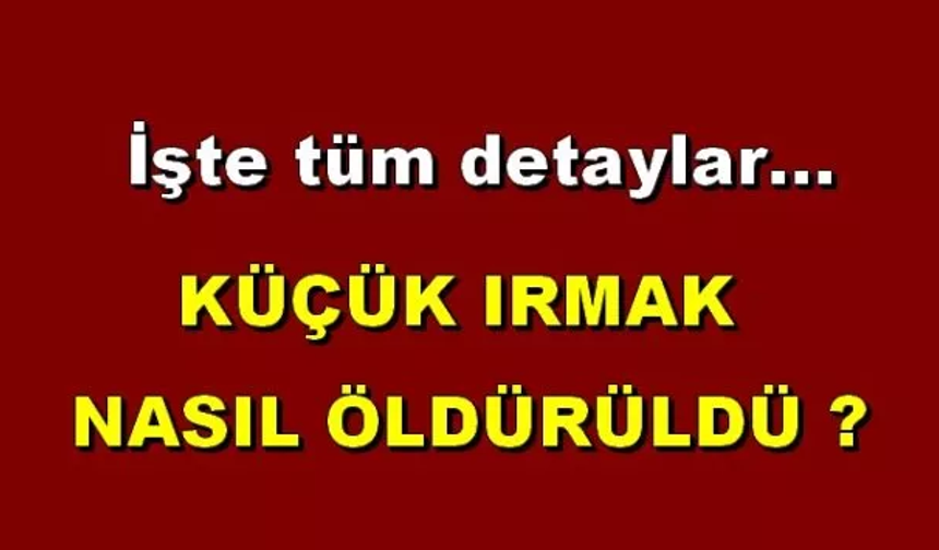 MANİSA’nın Alaşehir İlçesi’nde evlerinin önünde oynarken geçen cuma günü ortadan kaybolan 4 yaşındaki Irmak Kupal’ın bulunabilmesi için bir televizyon kanalındaki programa çıkan babası Bilal Kupal’ın şüphelendiğini söylemesi üzerine