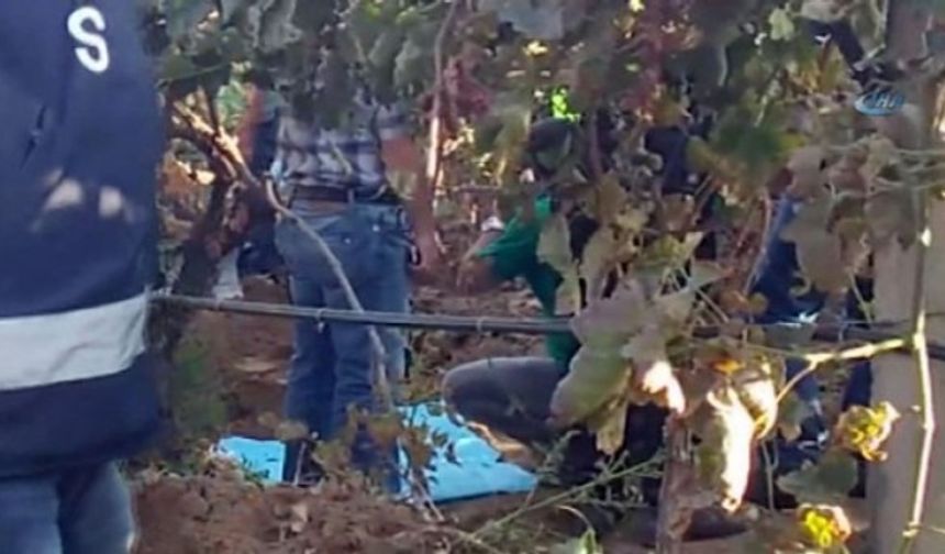 Alaşehir’de gündelik işlerde çalışarak geçimini sağlayan 44 yaşındaki Bilal Kupal ile 27 yaşındaki Suriye Kupal çiftinin Menderes Mahallesi, Elmadağ Caddesi, 2 Sokak’taki evlerinin önünde oynayan kızları Irmak Kupal, geçen 14 Ekim’de saat 15.00 sıralarında ortadan kayboldu ve bu süreden sonra Türkiye’nin gündemi oldu