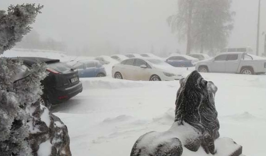 İzmit&#039;te hava sıcaklığı 6 dereceye ulaşırken,