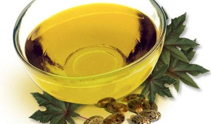 Hint Yağı: Hint yağı kıl kökleri üzerinde inanılmaz güçlü bir etkiye sahiptir. Siz de bu etkiden kaşlarınız üzerinde nasiplenmek isterseniz hint yağını günde bir defa kaşlarınıza uygulayın ve ardından kaşlarınıza birkaç dakika boyunca masaj yapın. Hint yağını yıkamadan en az yarım saat bekleyin.