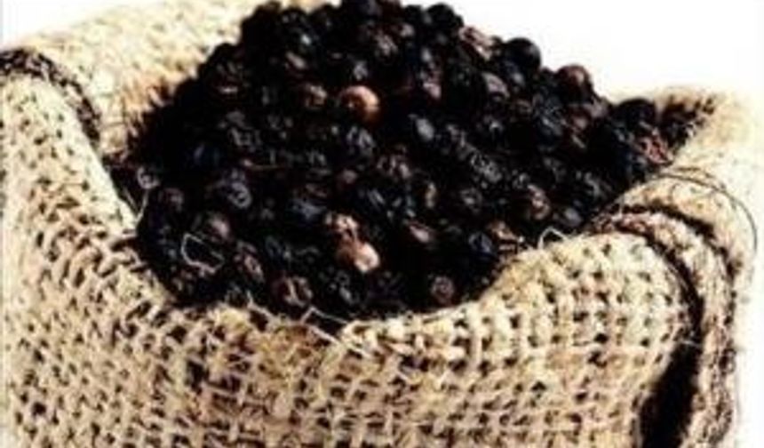 Hazımsızlığı yok eder ve kolit gibi hastalıklara karşı mücadelede oldukça başarılıdır.