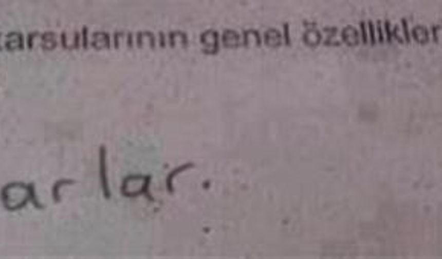 GALERİNİN DEVAMI İÇİN TIKLAYIN...