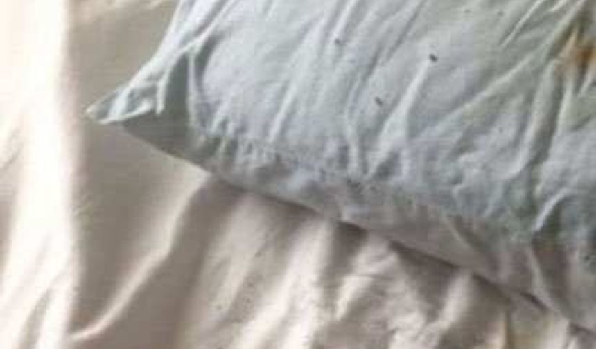 Gecenin yarısı yanık kokusu yüzünden uyandı ama bunu ciddiye almayıp tekrar uyumaya devam etti.