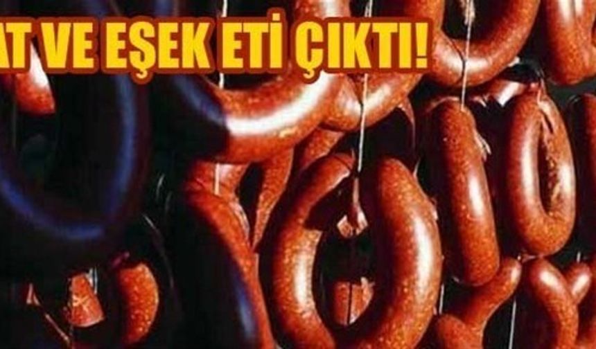 Kontrollerde laboratuvar sonuçları olumsuz çıkan ve gıdada taklit ve tağşiş yaptığı belirlenen 10 et ve süt ürünleri üreticisiyle bir lokanta, bakanlığın internet sitesinde ilan edildi.