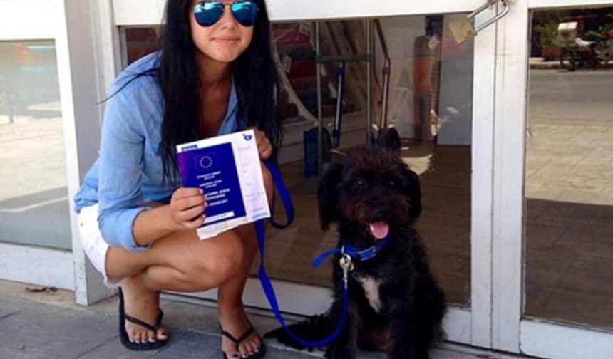 Saldırı esnasında bölgeye gelen ve saldırgan iki adamı uzaklaştırarak 25 yaşındaki Georgia Bradley&#039;nin hayatını kurtaran köpeğin Yunanistan&#039;dan çıkışı ise hiç kolay olmadı.