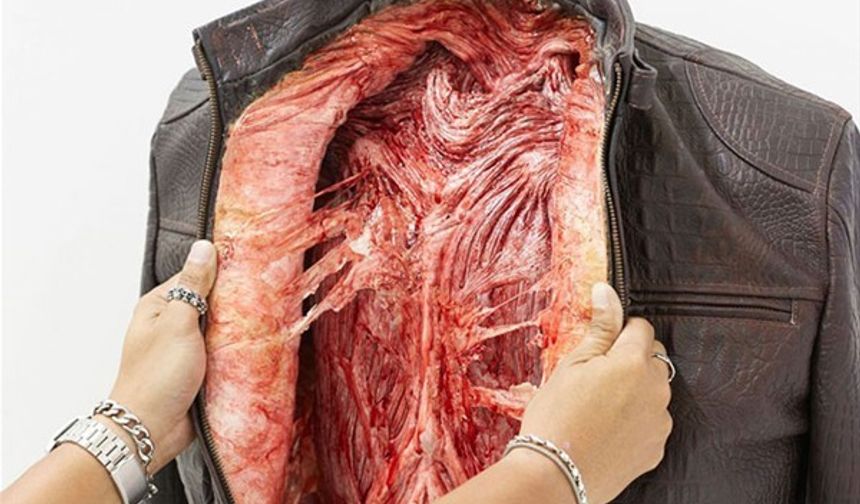 Bir alışveriş merkezinde açılan bu dükkan, içeri girenleri şoke etti.

Egzotik hayvan derilerinden üretilen ürünleri incelemek isteyen müşteriler korkunç bir manzaraya şahit oldu.

Reklam ajansı Ogilvy ve PETA, Bangkok&#039;un en havalı alışveriş merkezlerinden birine bir dükkan açtı.

Tamamen deri olduğunu iddia ettikleri çanta, mont, cüzdan, ayakkabı gibi ürünlerin içine ise bu ürünler için öldürülen hayvanların iç organlarını koydu.