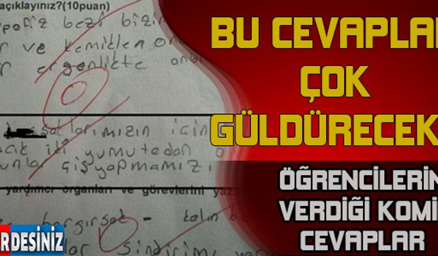 GALERİNİN DEVAMI İÇİN TIKLAYIN...