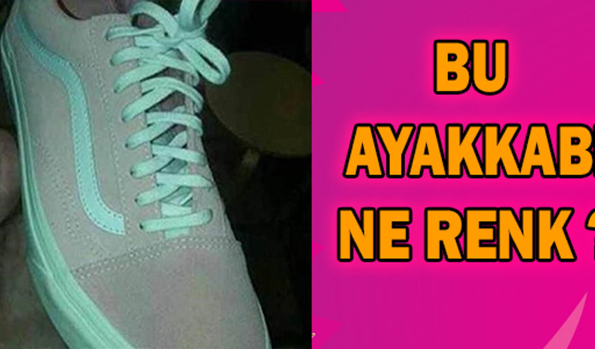 Bu ayakkabı ne renk ?