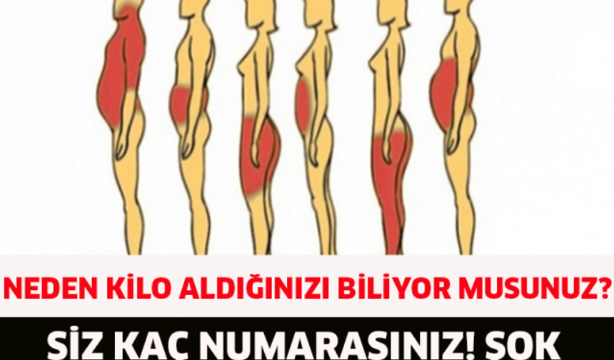 Uzmanlar açıkladı! İşte kilo almanızın nedeni

detaylar için galeriye devam et...