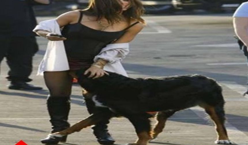 Gülmekten Yerlere Yatacağınız 12Fotoğraf

GÖRÜNTÜLER İÇİN GALERİYE DEVAM ET...