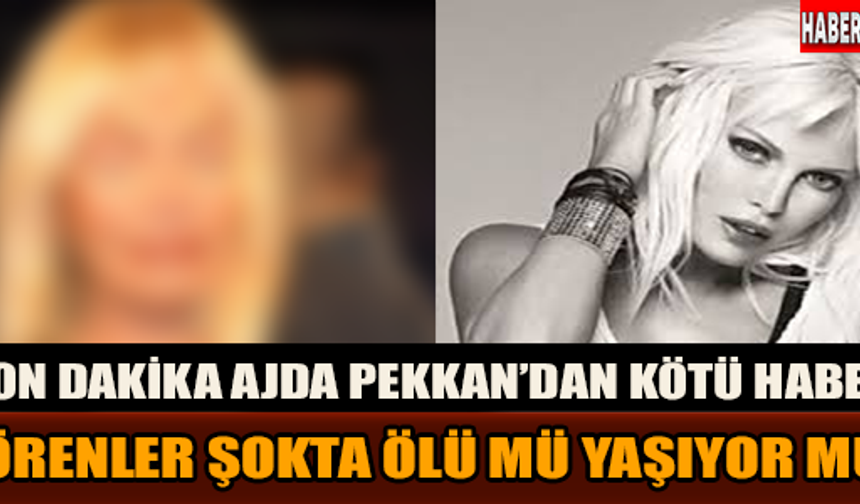 Ajda Pekkan'ın son hali...