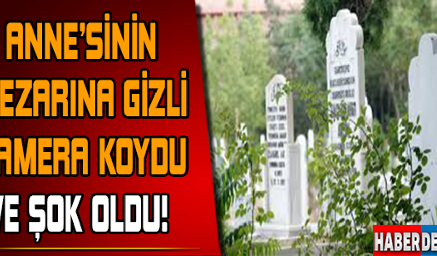 GALERİNİN DEVAMI İÇİN TIKLAYIN...