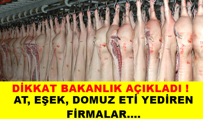 AT, EŞEK, DOMUZ ETİ YEDİREN FİRMALAR….