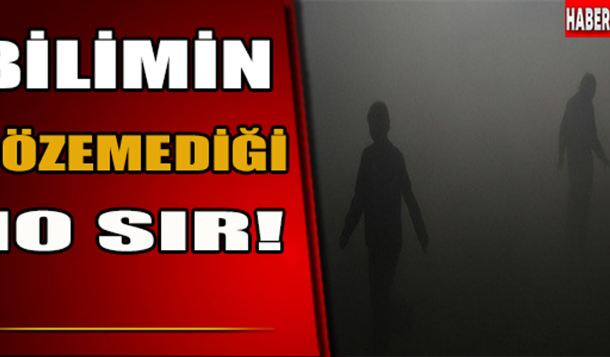Galerinin Devasmı İçin Tıklayınız..