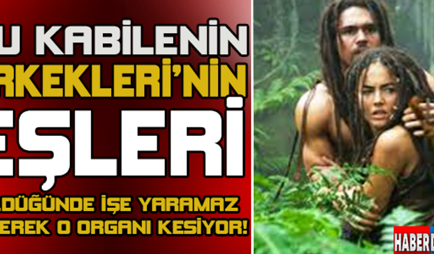 GALERİNİN DEVAMI İÇİN TIKLAYINIZ...