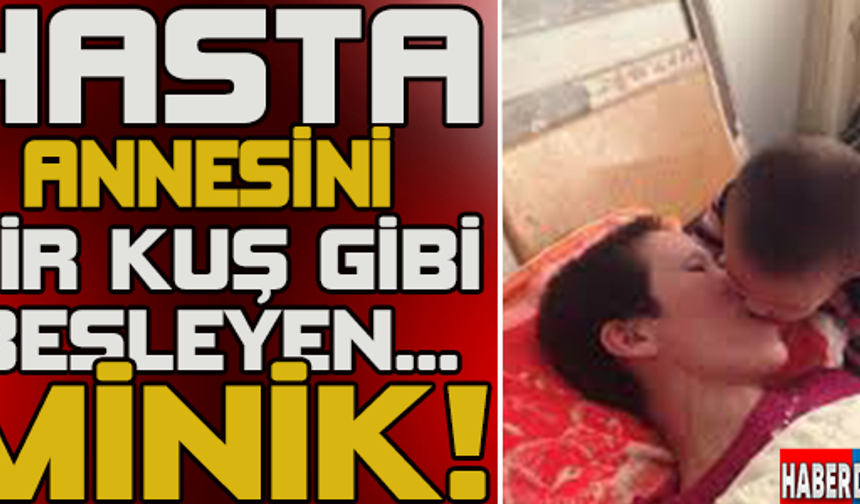GALERİNİN DEVAMI İÇİN TIKLAYINIZ...