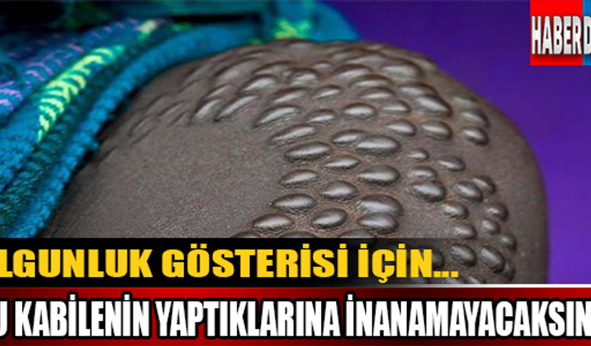 Galerinin devamı için tıklayınız.