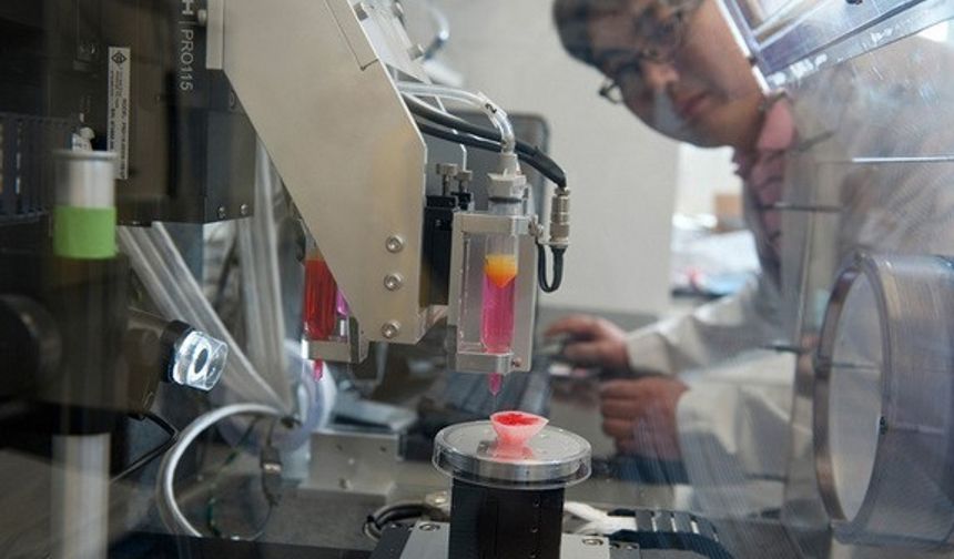 “Yazıcının ateşi BioBrick. Burada kök hücreler bulunuyor. Kök hücrelerin sahip olduğu yapı ve koşullar sağlanıyor ihtiyaçlara cevap veriyor.”