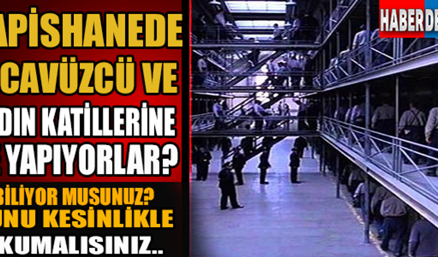 Galerinin devamı için tıklayınız.