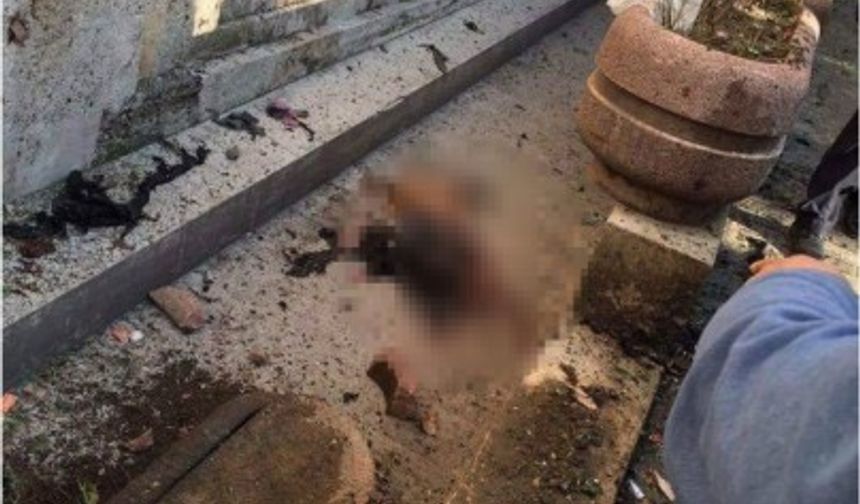 Yemen&#039;de canlı bomba saldırısında 20 asker hayatını kaybetti onlarca kişi yaralandı

VE