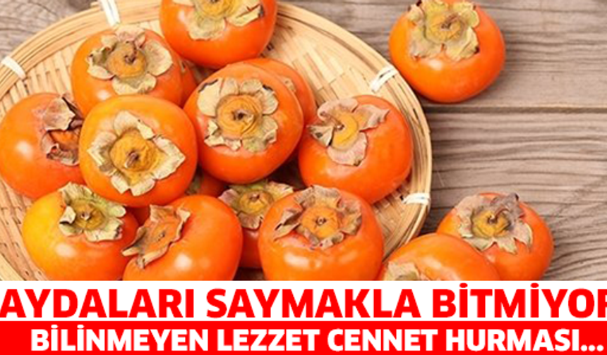 Cennet Hurması Yemenin Vücuda Şaşırtan Etkisi!