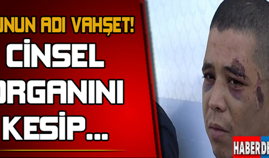 GALERİNİN DEVAMI İÇİN TIKLAYIN...