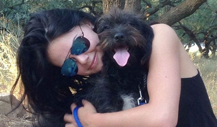 Yunanistan&#039;ın Girit adasında tatilini yaptığı sırada iki kişinin saldırısına uğrayan İngiliz öğrenci yardımına koşan sokak köpeğini sahiplenmek için binlerce kilometre yol gitti.