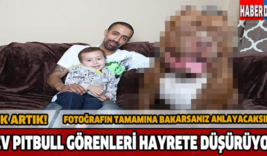 GALERİNİN DEVAMI İÇİN FOTOĞRAFA TIKLAYINIZ...
