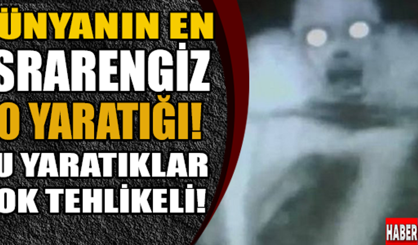 GALERİNİN DEVAMI İÇİN TIKLAYINIZ...