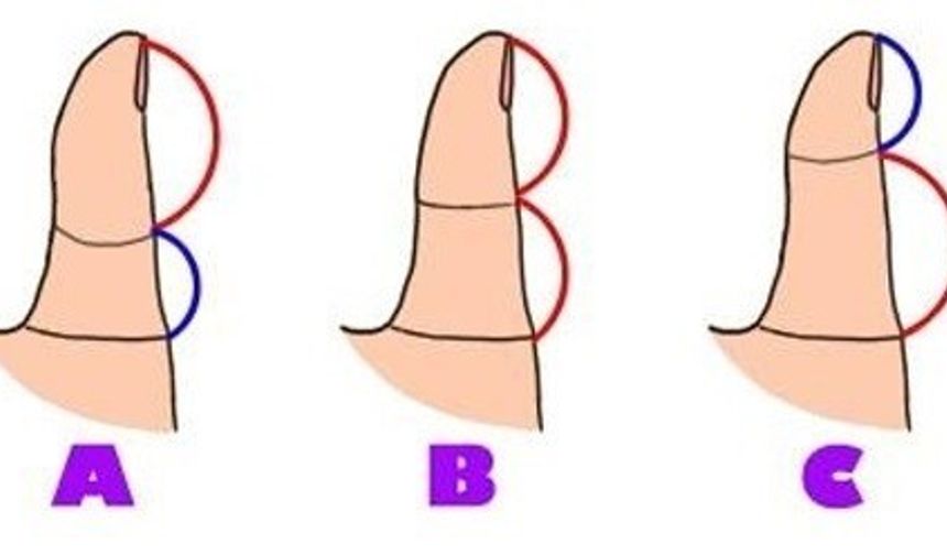 Handanalysis’ta yapılan bir çalışmaya göre yanılma payı içermekle birlikte baş parmaklarımız karakterimiz hakkında karşı tarafa önemli bilgiler iletiyor.