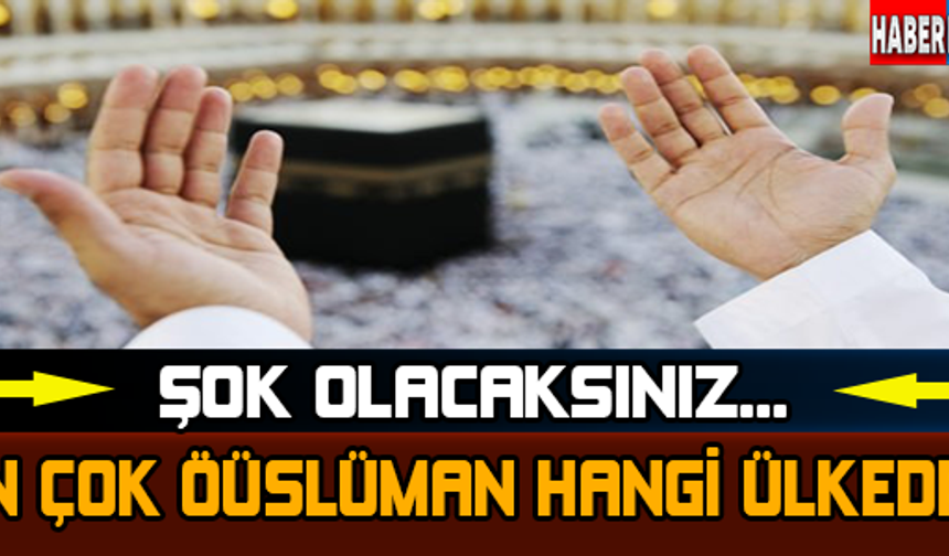 GALERİNİN DEVAMI İÇİN TIKLAYINIZ...
